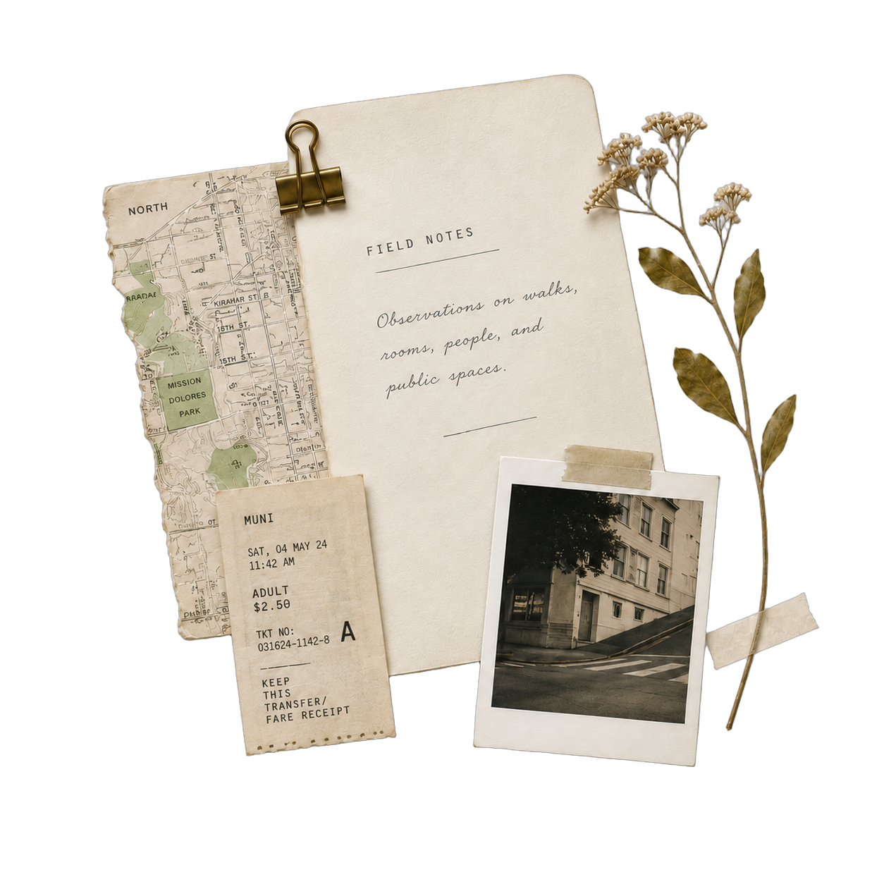 Field notes